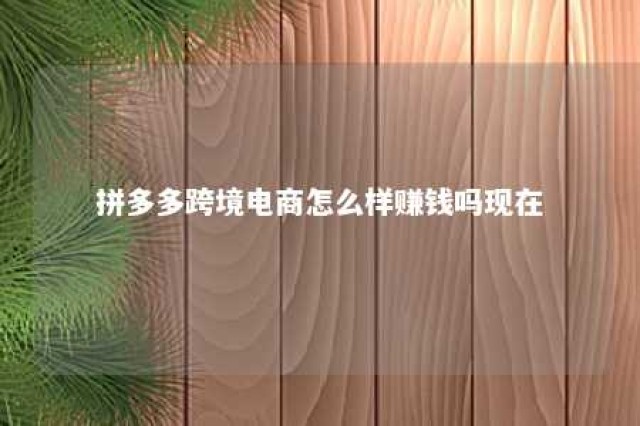 拼多多跨境电商怎么样赚钱吗现在 拼多多跨境店铺怎样申请