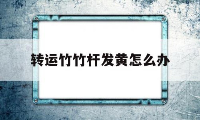 转运竹竹杆发黄怎么办