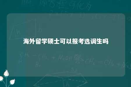 海外留学硕士可以报考选调生吗