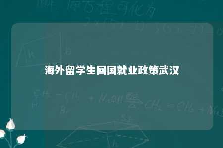 海外留学生回国就业政策武汉