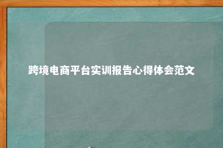 跨境电商平台实训报告心得体会范文