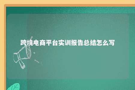 跨境电商平台实训报告总结怎么写