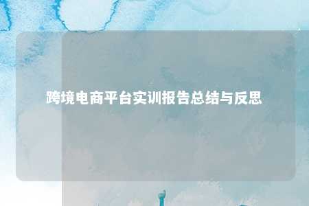 跨境电商平台实训报告总结与反思