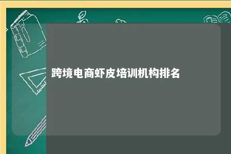 跨境电商虾皮培训机构排名