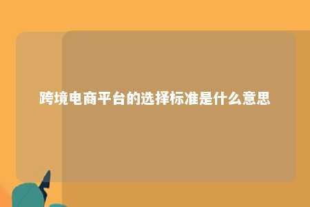 跨境电商平台的选择标准是什么意思