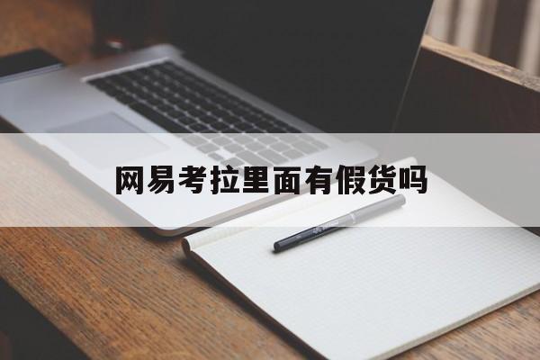 网易考拉里面有假货吗